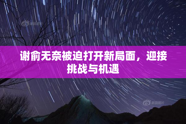 谢俞无奈被迫打开新局面，迎接挑战与机遇