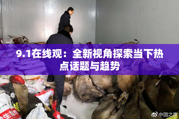 9.1在线观：全新视角探索当下热点话题与趋势