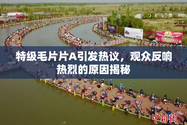 特级毛片片A引发热议，观众反响热烈的原因揭秘