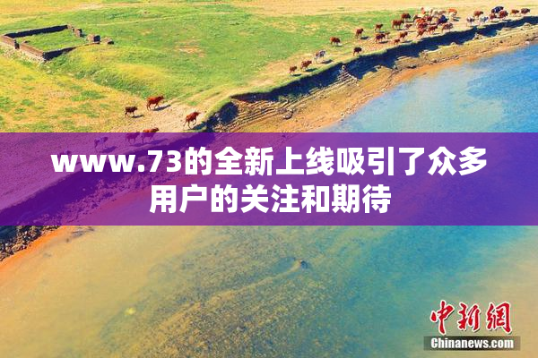 www.73的全新上线吸引了众多用户的关注和期待