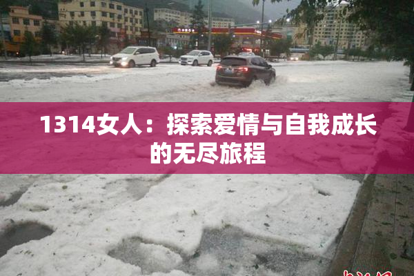 1314女人：探索爱情与自我成长的无尽旅程