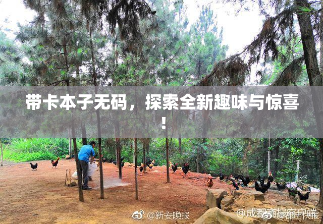 带卡本子无码，探索全新趣味与惊喜！