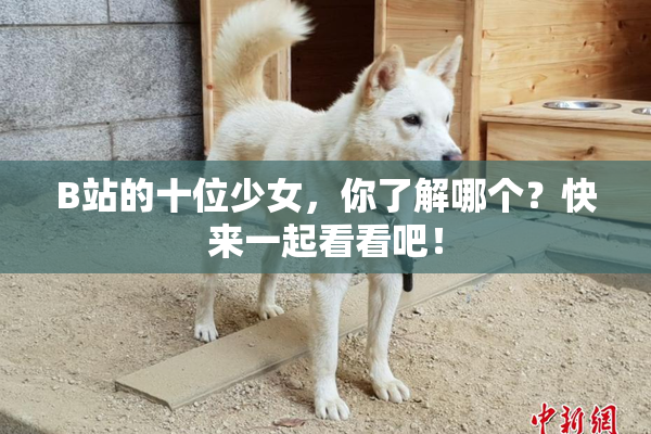 B站的十位少女，你了解哪个？快来一起看看吧！