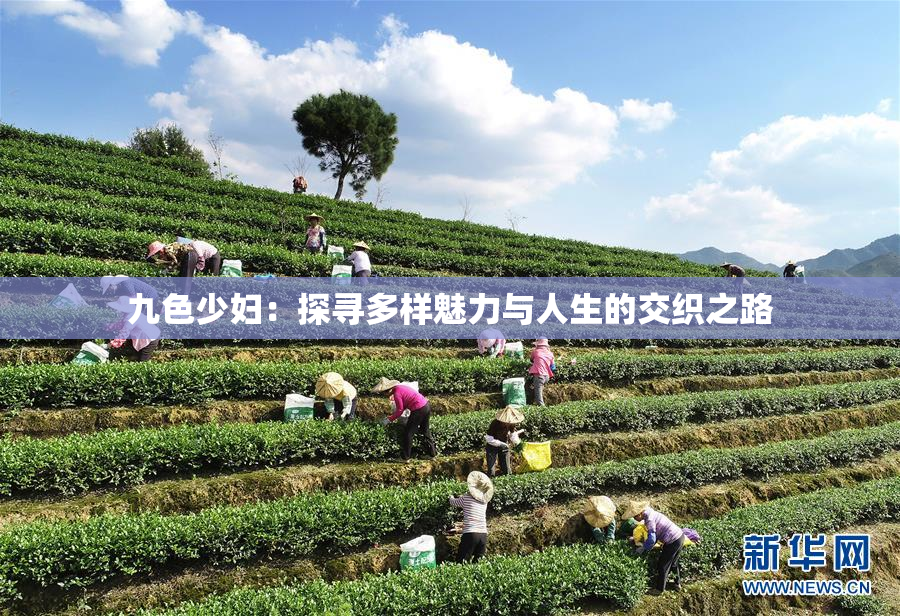 九色少妇：探寻多样魅力与人生的交织之路