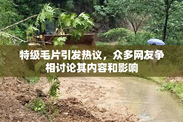 特级毛片引发热议，众多网友争相讨论其内容和影响