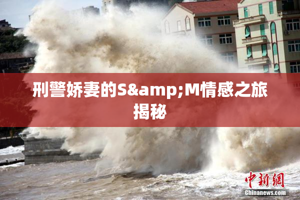刑警娇妻的S&M情感之旅揭秘