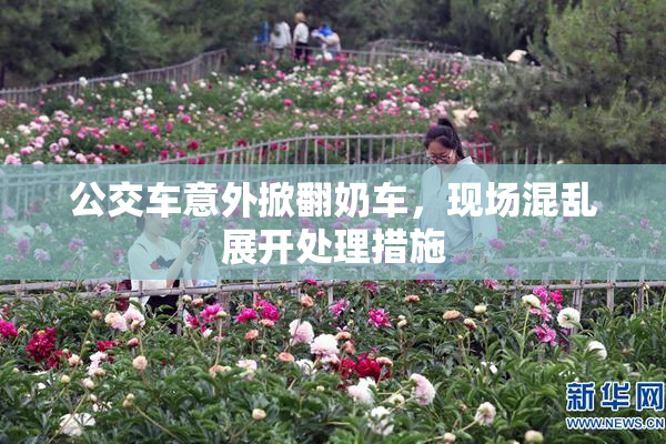 公交车意外掀翻奶车，现场混乱展开处理措施