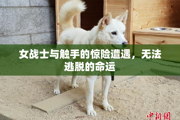 女战士与触手的惊险遭遇，无法逃脱的命运