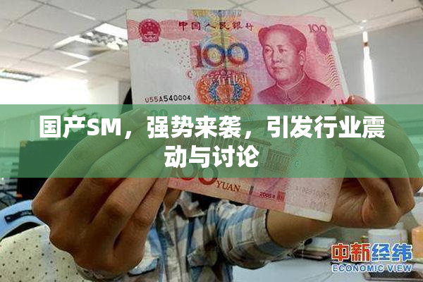 国产SM，强势来袭，引发行业震动与讨论