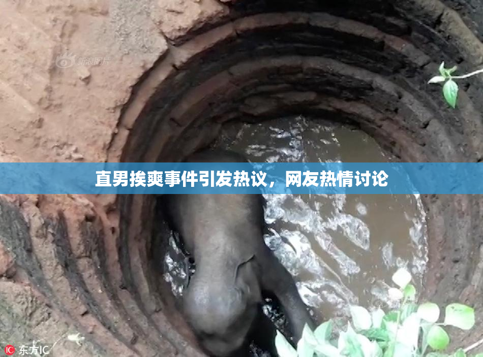 直男挨爽事件引发热议，网友热情讨论