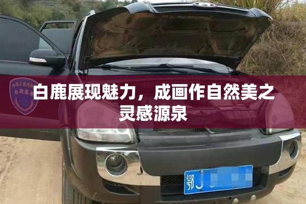 白鹿展现魅力，成画作自然美之灵感源泉