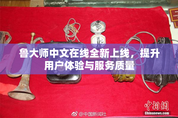 鲁大师中文在线全新上线，提升用户体验与服务质量