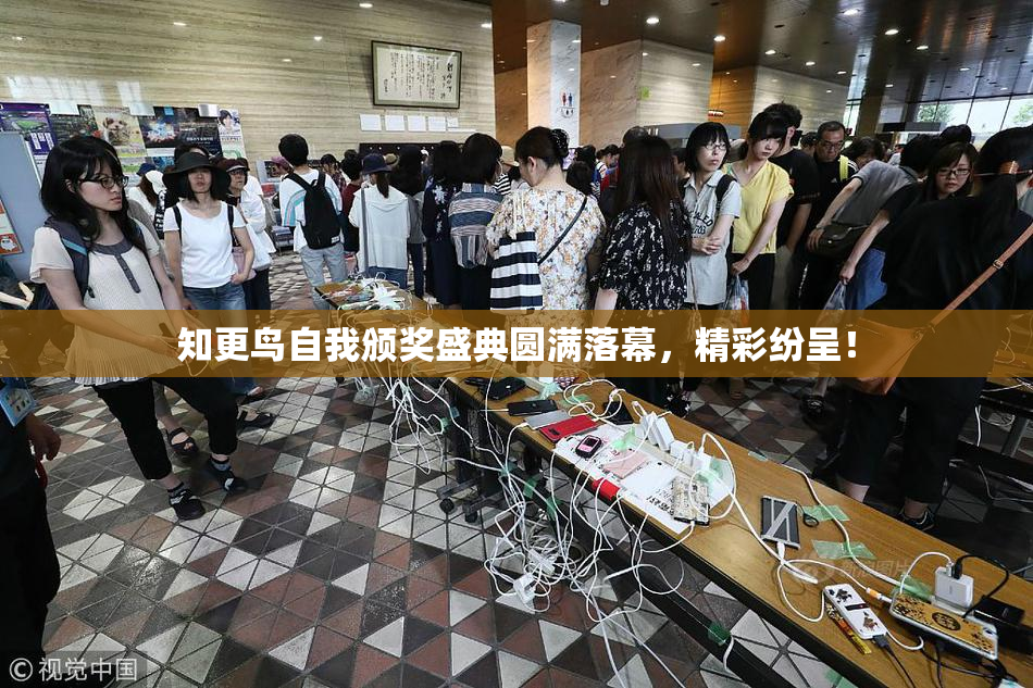 知更鸟自我颁奖盛典圆满落幕，精彩纷呈！