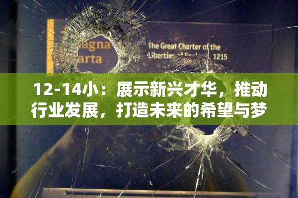 12-14小：展示新兴才华，推动行业发展，打造未来的希望与梦想。