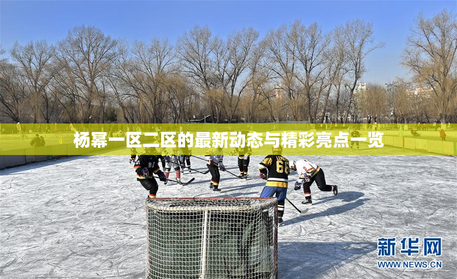杨幂一区二区的最新动态与精彩亮点一览