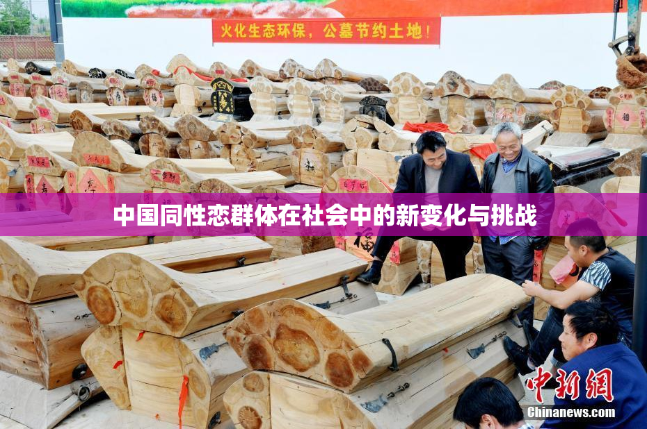 中国同性恋群体在社会中的新变化与挑战