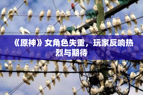 《原神》女角色失重，玩家反响热烈与期待