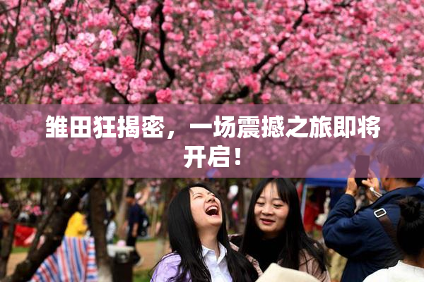 雏田狂揭密，一场震撼之旅即将开启！