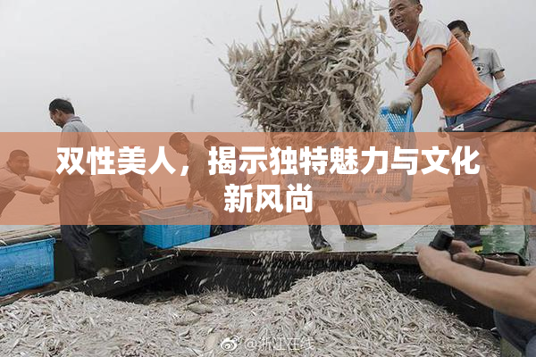双性美人，揭示独特魅力与文化新风尚