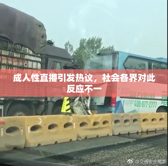 成人性直播引发热议，社会各界对此反应不一
