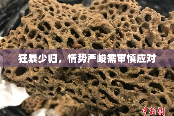 狂暴少归，情势严峻需审慎应对