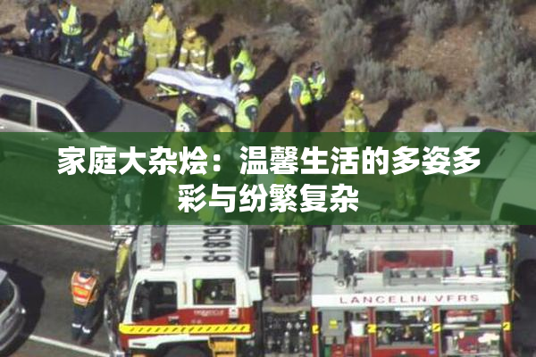 家庭大杂烩：温馨生活的多姿多彩与纷繁复杂