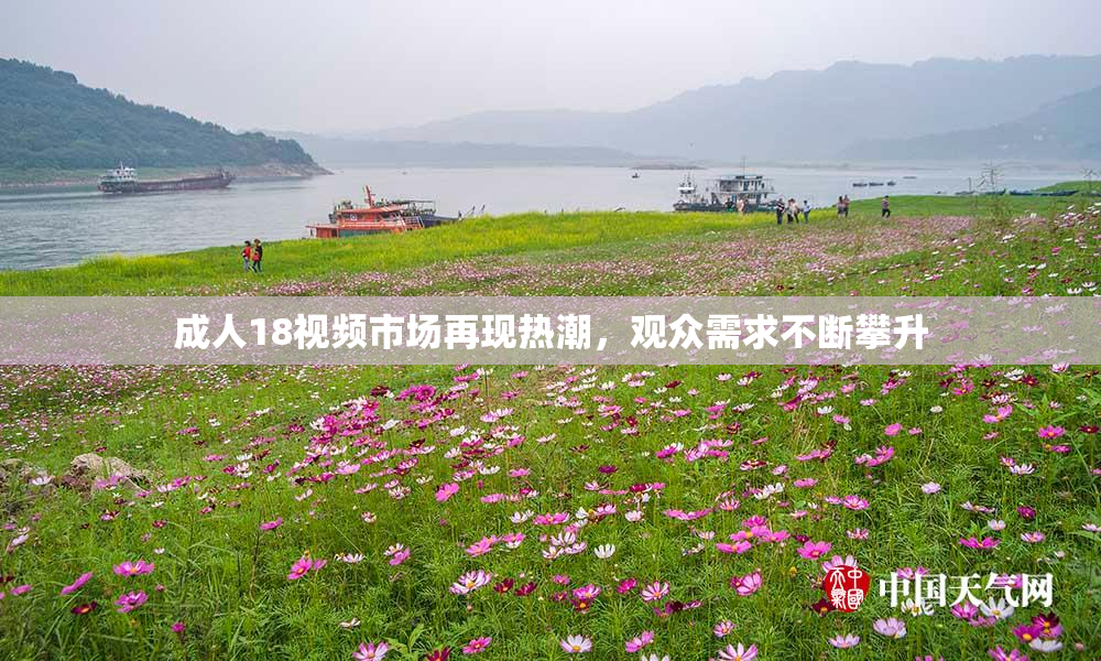 成人18视频市场再现热潮，观众需求不断攀升