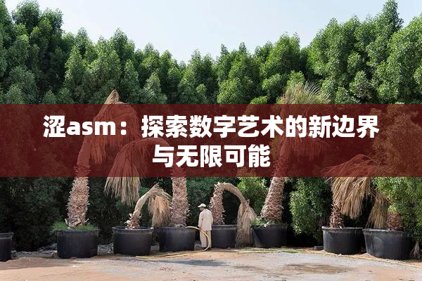 涩asm：探索数字艺术的新边界与无限可能