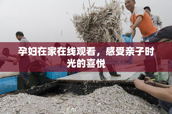 孕妇在家在线观看，感受亲子时光的喜悦