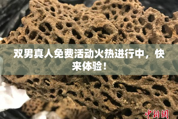 双男真人免费活动火热进行中，快来体验！