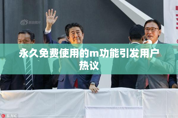 永久免费使用的m功能引发用户热议