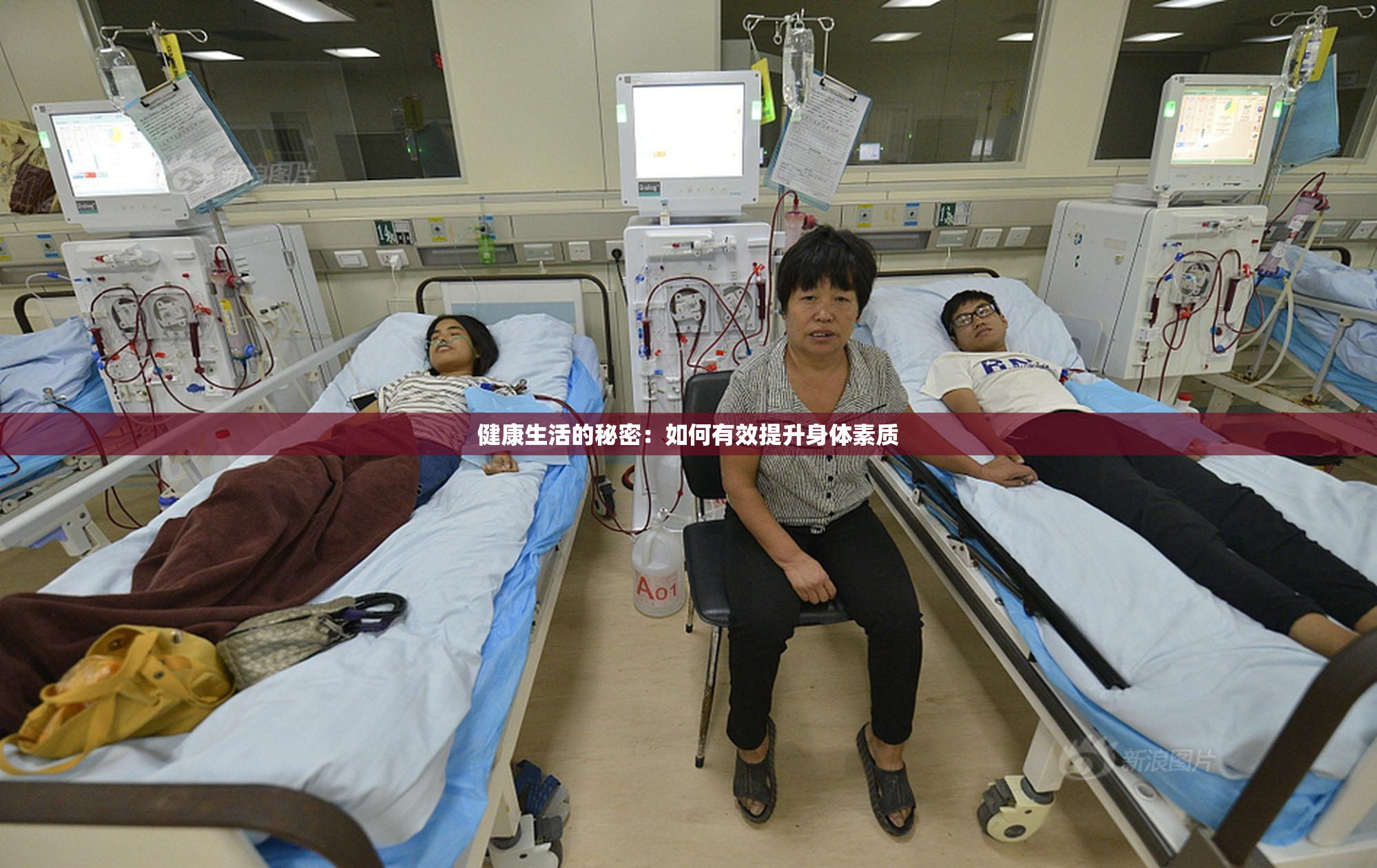 健康生活的秘密：如何有效提升身体素质