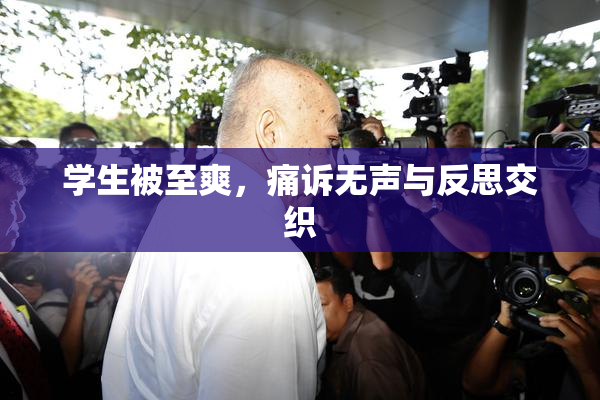 学生被至爽，痛诉无声与反思交织