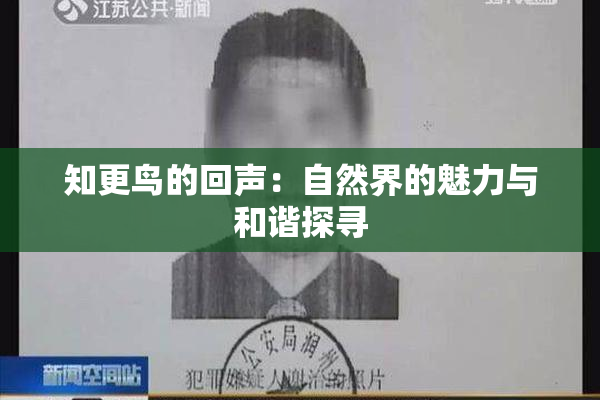 知更鸟的回声：自然界的魅力与和谐探寻