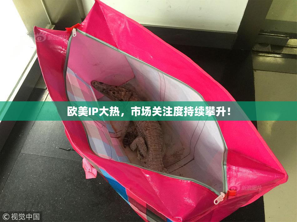 欧美IP大热，市场关注度持续攀升！
