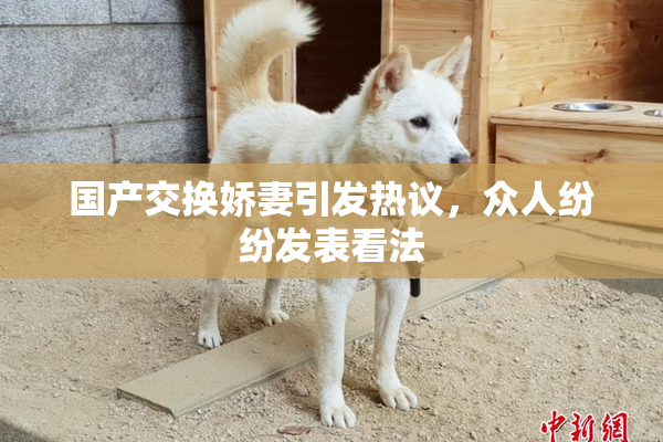 国产交换娇妻引发热议，众人纷纷发表看法