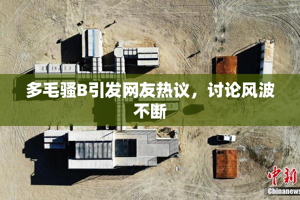 多毛骚B引发网友热议，讨论风波不断
