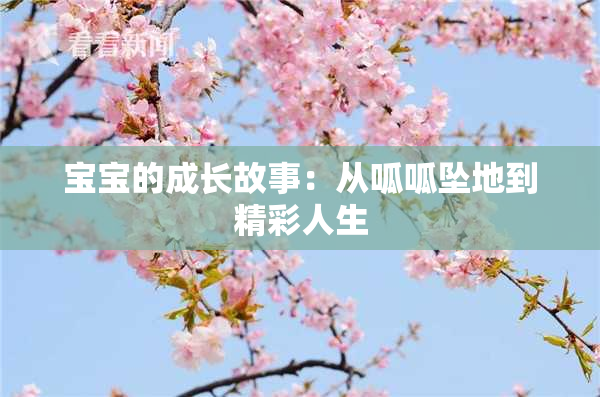 宝宝的成长故事：从呱呱坠地到精彩人生