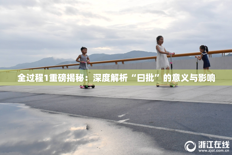全过程1重磅揭秘：深度解析“曰批”的意义与影响