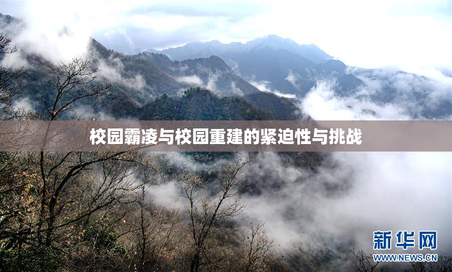 校园霸凌与校园重建的紧迫性与挑战