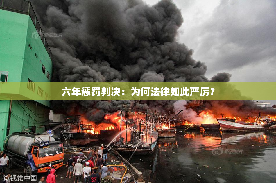 六年惩罚判决：为何法律如此严厉？