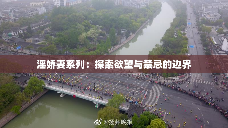 淫娇妻系列：探索欲望与禁忌的边界