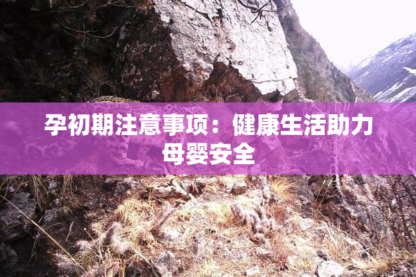 孕初期注意事项：健康生活助力母婴安全