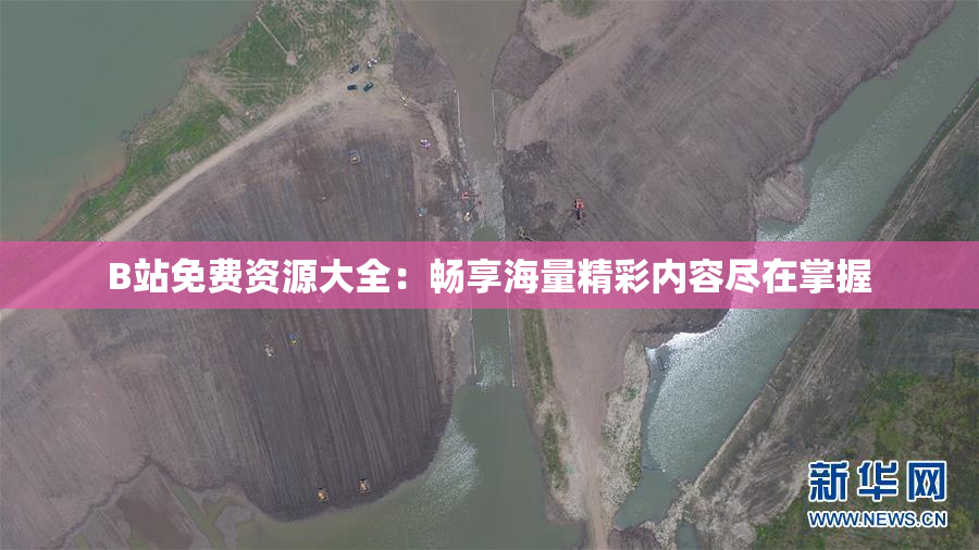 B站免费资源大全：畅享海量精彩内容尽在掌握