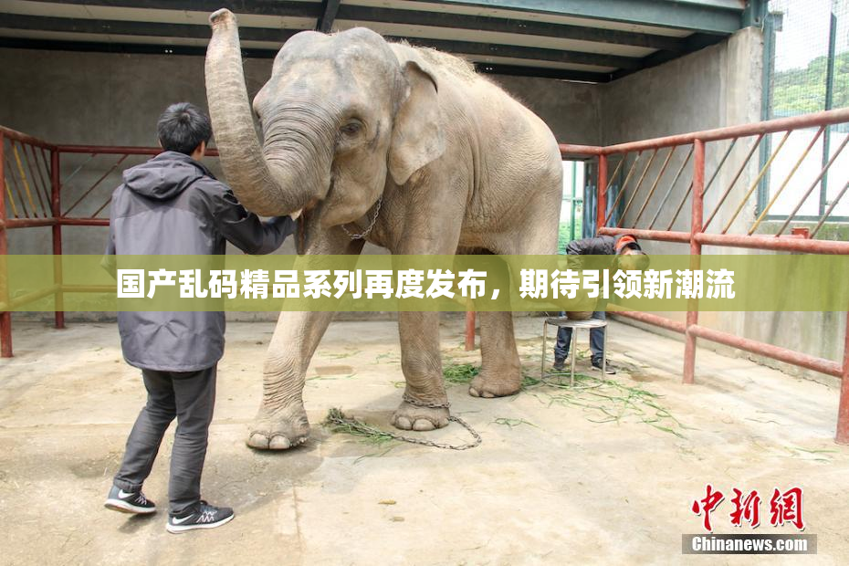 国产乱码精品系列再度发布，期待引领新潮流