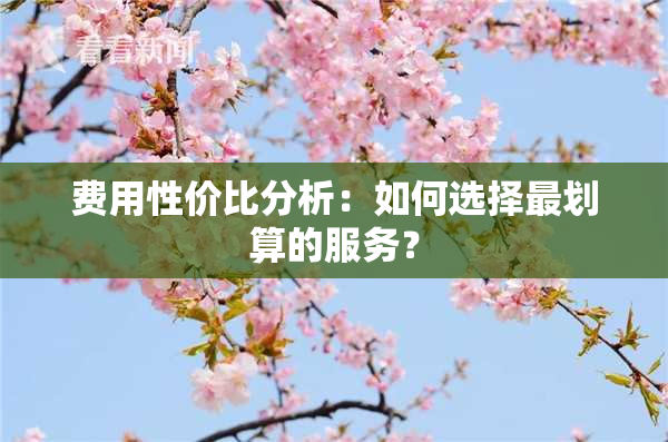 费用性价比分析：如何选择最划算的服务？