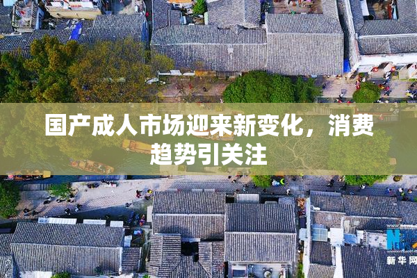 国产成人市场迎来新变化，消费趋势引关注