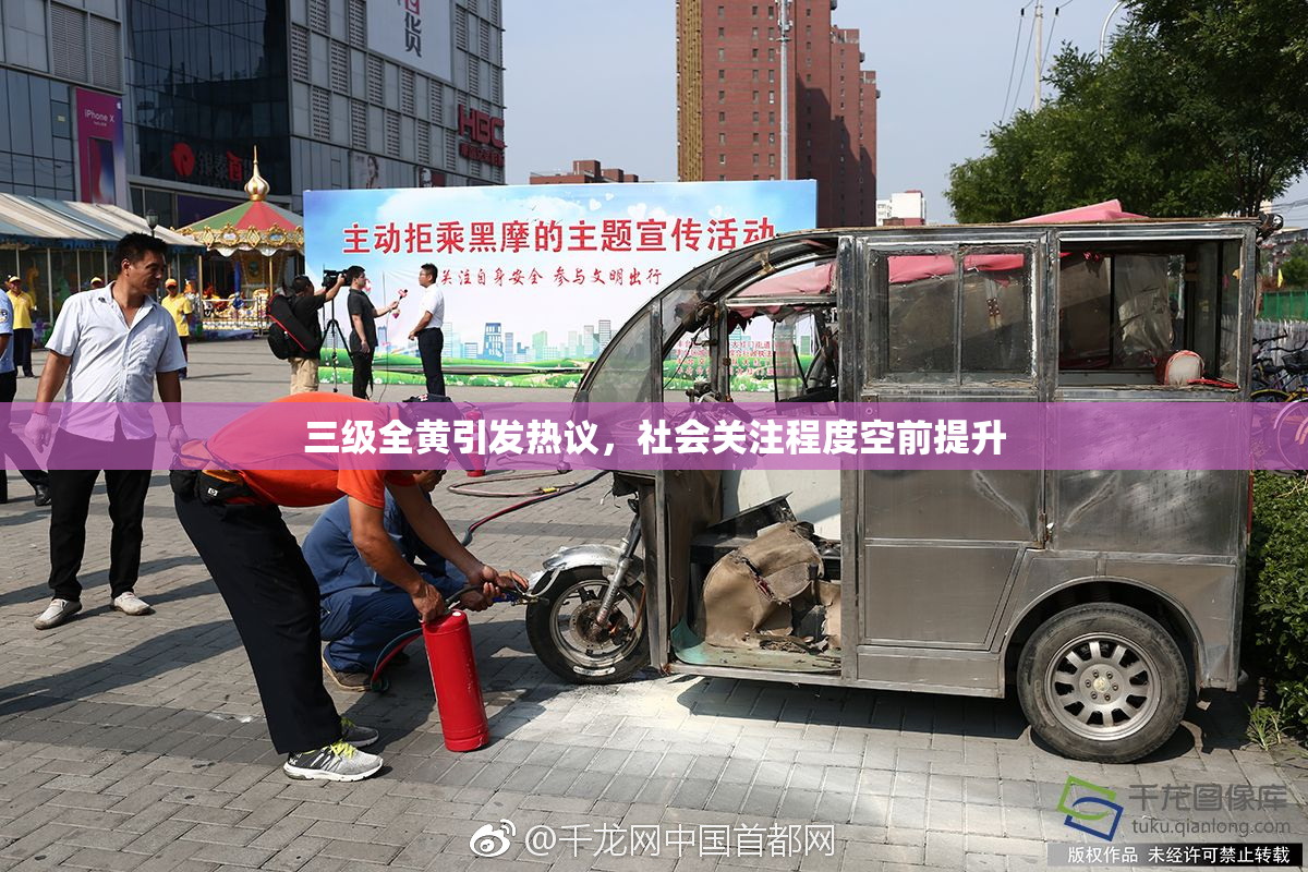 三级全黄引发热议，社会关注程度空前提升