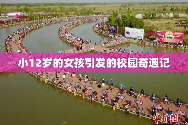 小12岁的女孩引发的校园奇遇记