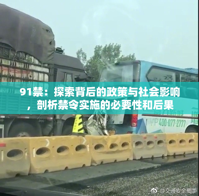 91禁：探索背后的政策与社会影响，剖析禁令实施的必要性和后果